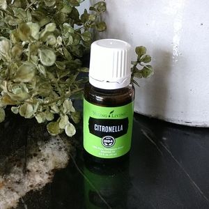 Yl oil Citronella